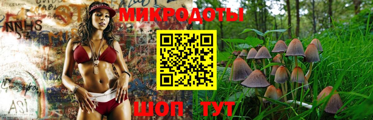 Псилоцибиновые грибы Magic Shrooms Бор